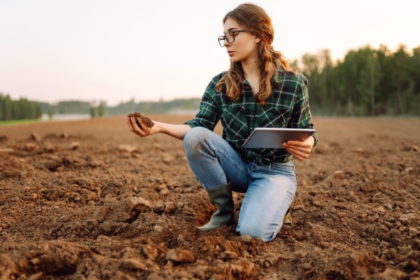Какая почва самая плодородная: 5 фактов, которые нужно знать