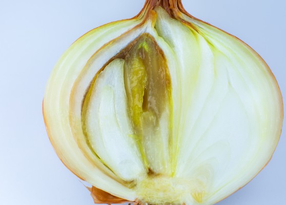 Шейковая гниль лука