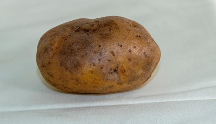 Парша серебристая