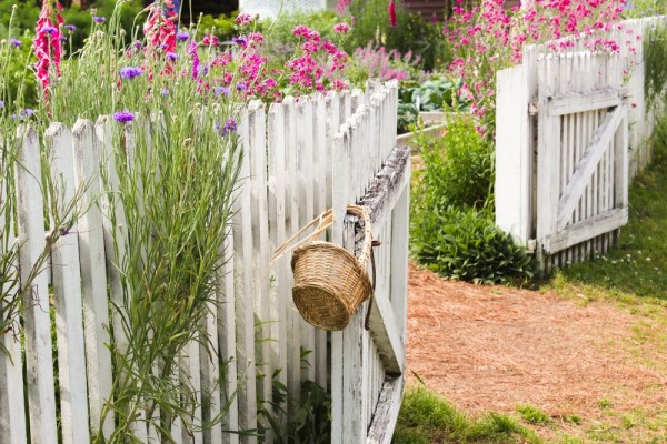 Как установить сервитут на проезд к участку Как установить сервитут на проезд к участку