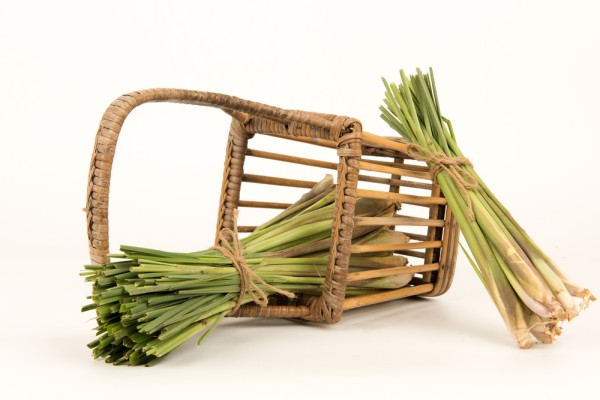 Лемонграсс и цитронелла — что это такое? Лемонграсс и цитронелла — что это такое?