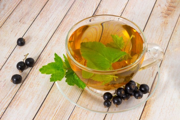 Чай с листьями смородины: в чем польза ароматного напитка