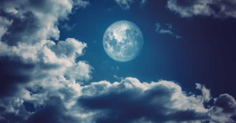 Лунный посевной календарь на февраль 2026 года