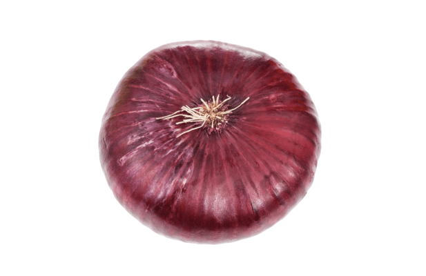 Как вырастить ялтинский лук из семян: 6 шагов к урожаю