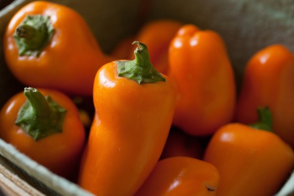 20 лучших сортов и гибридов оранжевых перцев для выращивания в 2026 году