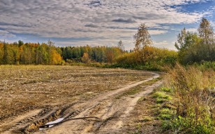 Бесплатный ремонт дорог в СНТ: опыт Башкирии
