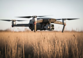 За садовыми участками будут следить с беспилотников: новый закон