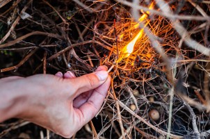 Соседи жгут траву, листву и мусор на своём участке — куда жаловаться?