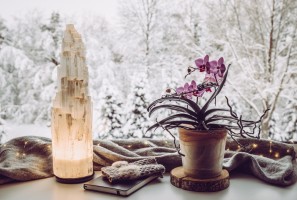 Как ухаживать за орхидеей зимой: 7 советов садоводов