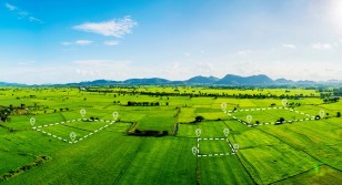 Можно ли бесплатно размежевать дачный участок в 2026 году?