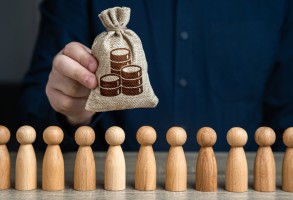 Как проверить, на что тратятся взносы в СНТ: выводим на чистую воду