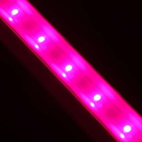 Фитосветильник светодиодный, 18 Вт, 1170 мм, IP22, сине-красный спектр, фиолетовый, «ЭРА»