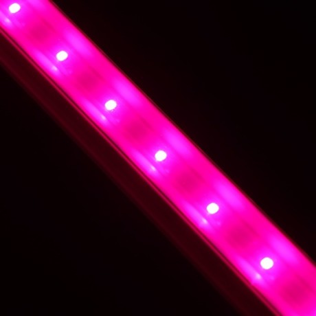 Фитосветильник светодиодный, 9 Вт, 572 мм, сине-красный спектр, фиолетовый, «ЭРА»