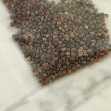 Набор для выращивания микрозелени «Редис санго»:лоток,семена (3 шт), льняной коврик (3 шт)