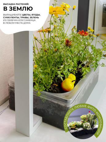 Комнатная садовая гидропонная ферма Vegebox V-Frame, с фитолампой для выращивания цветов и растений
