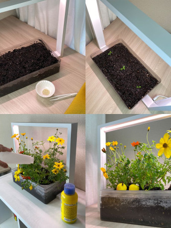 Комнатная садовая гидропонная ферма Vegebox V-Frame, с фитолампой для выращивания цветов и растений