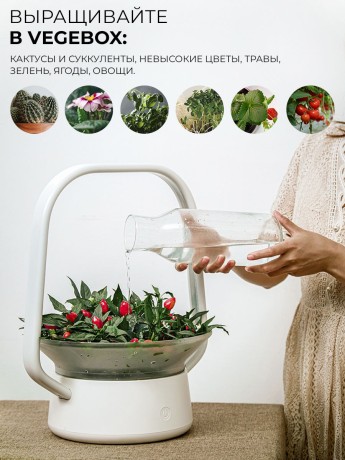 Умный горшок для растений с фитолампой VegeBox V-Basket для выращивания цветов и зелени в грунте и гидропонике, цвет белый