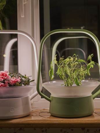 Умный горшок для растений с фитолампой VegeBox V-Basket для выращивания цветов и зелени в грунте и гидропонике, цвет зеленый
