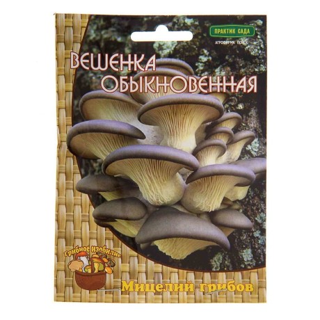 Мицелий грибов Вешенка обыкновенная на деревянных палочках 12 шт