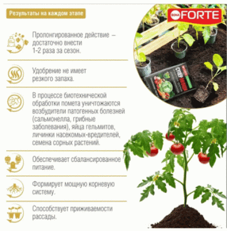 Органическое удобрение"Bona Forte", обогащенное цеолитом и аминокислотами, 2 кг 9586842