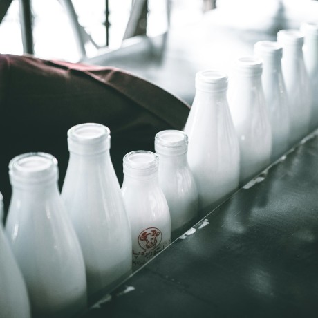 Названы российские регионы - лидеры по производству молока и мяса