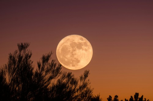 Лунный посевной календарь: как это работает