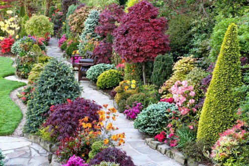 Цветущие кустарники для сада