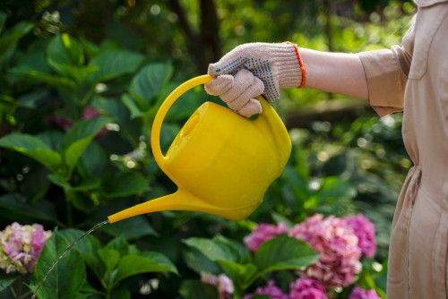Марганцовка для сада и огорода: применение и стоит ли пользоваться