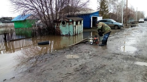 В Омской области помогут ЛПХ, понесшим ущерб от паводка