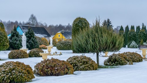 3 лучших материала для укрытия туй на зиму