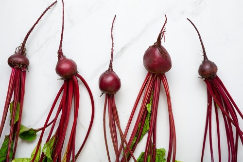 Лучшие сорта свёклы для открытого грунта Подмосковья