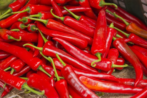 Когда сажать перцы на рассаду в 2026 году